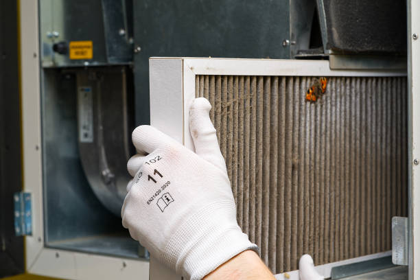 Best Local Air Duct Cleaning Services  in Kings Grant, NC